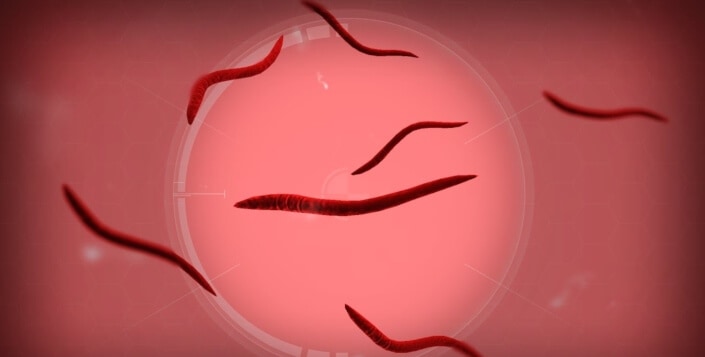 What is Plague Inc. Parasite