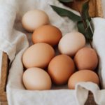 egg inc cheats - featured (1)