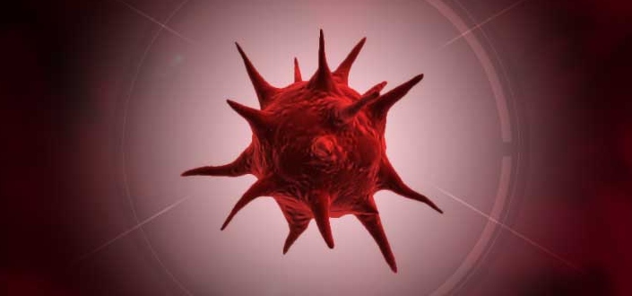 plague inc fungus - What is Plague, Inc. Fungus?
