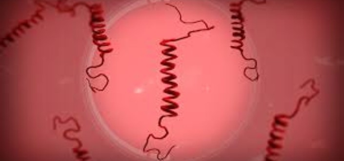 plague inc prion - What is plague inc prion_