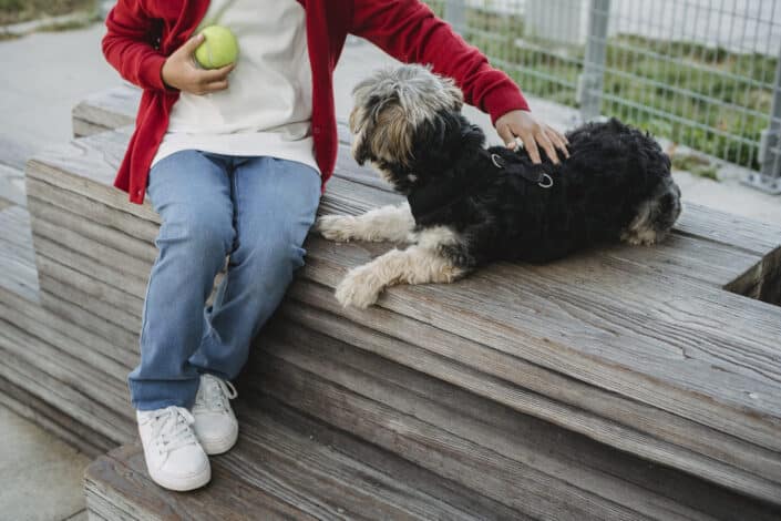 a person petting a dog while holding a tennis ball