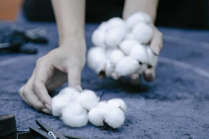 Person with cotton balls on blue background
